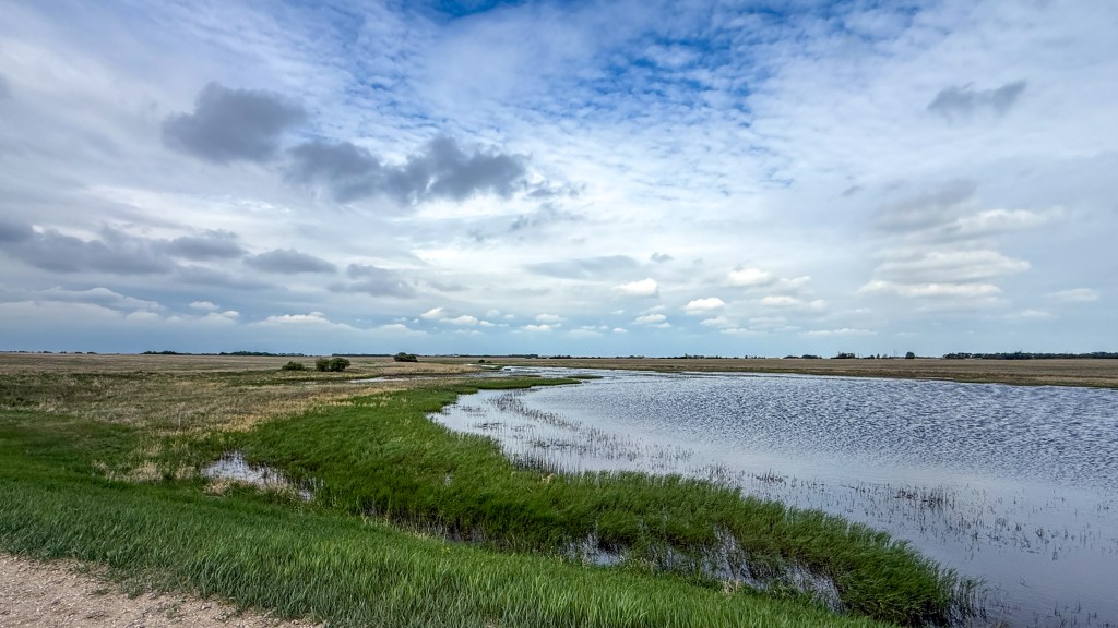 Prairie wetland beneath a broad cloud-filled sky in southern Saskatchewan.